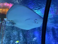 -沈阳海洋探索中心