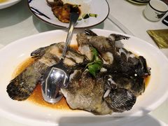 -一麦·龙岛(上海青浦店)