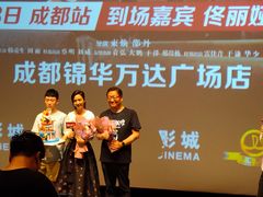 -万达影城(锦华万达广场IMAX店)