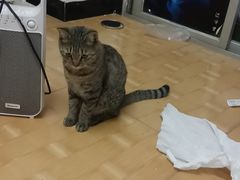 -上上签·冷锅串串(六灌路店)