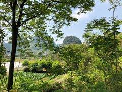 -翠屏五指山景区