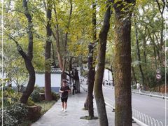 -岳麓山风景名胜区