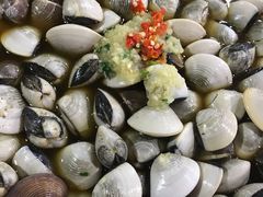 -顺德哥卜卜贝(旗舰店)