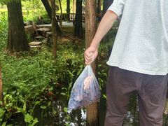 -东湖落雁景区