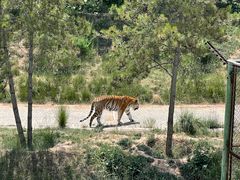-青藏高原野生动物园