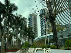 -观海海鲜(蛇口广场店)