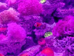 -太平洋海底世界