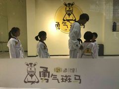 -勇气斑马·巴西柔术&跆拳道(浦东三林店)
