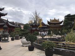 -上海东林寺(金山区)