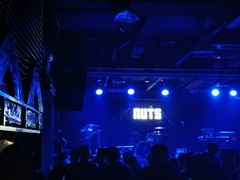 -坚果NUTS