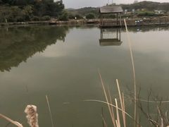 -南京市无想山景区