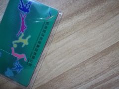 -定安游泳馆