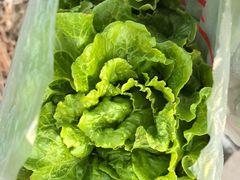 -Bread Talk 面包新语(荟聚店)