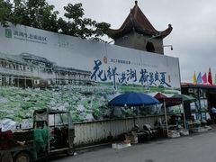 -洪湖生态旅游区