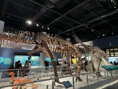 -国家自然博物馆