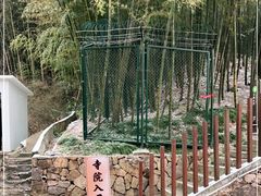 -径山寺