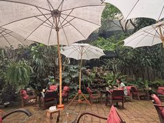 -Fern Forest Cafe