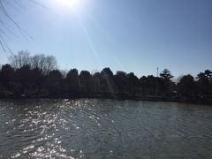 -上海国丰酒店