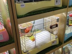 -宠物兔专门店(天丰利市场店)