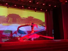 -瑞丽独树成林风景区