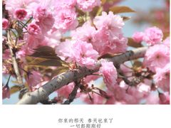 -杭州城北体育公园