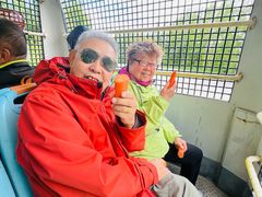 -黑瞎子岛探秘野熊园