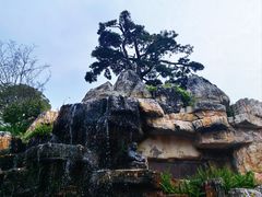 -宝光寺