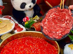 -矮板凳老火锅(宽窄巷子店)
