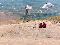 -老味道民宿(栈桥店)