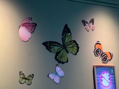 -纯K(华远店)