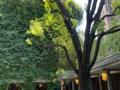 -竹吟山房