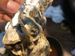 -土蚝·高压锅生蚝(百姓美食街店)