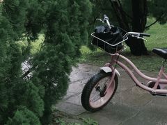 -上海共青森林公园