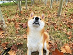 -瀛海足球主题公园