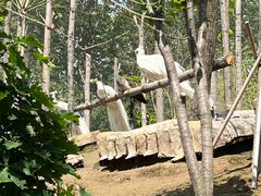 -哈尔滨北方森林动物园