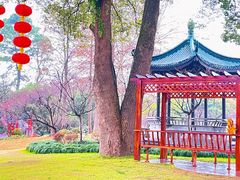 -无锡梅园公园