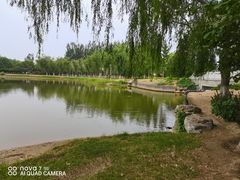 -大兴滨河森林公园