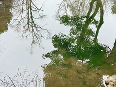 -杭州植物园