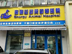 -总动员动物医院(宝丰院店)