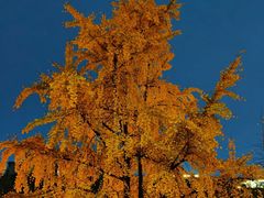 -西南政法大学(渝北校区)