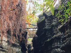 -梭布垭石林景区