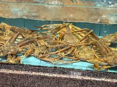 -西贝海鲜汇(槐安路店)