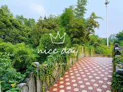 -菊花台公园