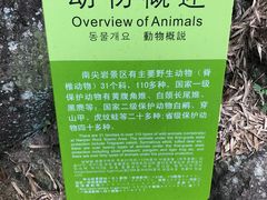-南尖岩