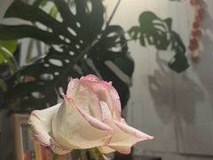 -懒人盐府人家·自贡大麻鱼(安贞店)