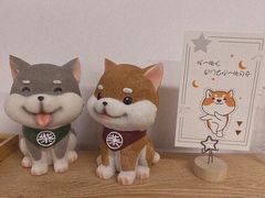 -柴迷FANS CLUB·柴犬狗咖·猫咖