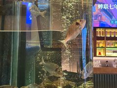 -官也街澳门火锅(新源里店)