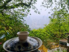 -南山植物园