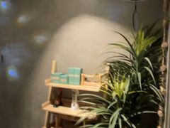 -施奈儿.洗头頭療.按摩SPA.采耳(上梅林店)