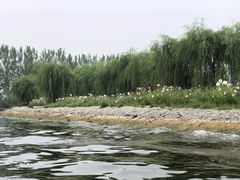 -白洋淀景区